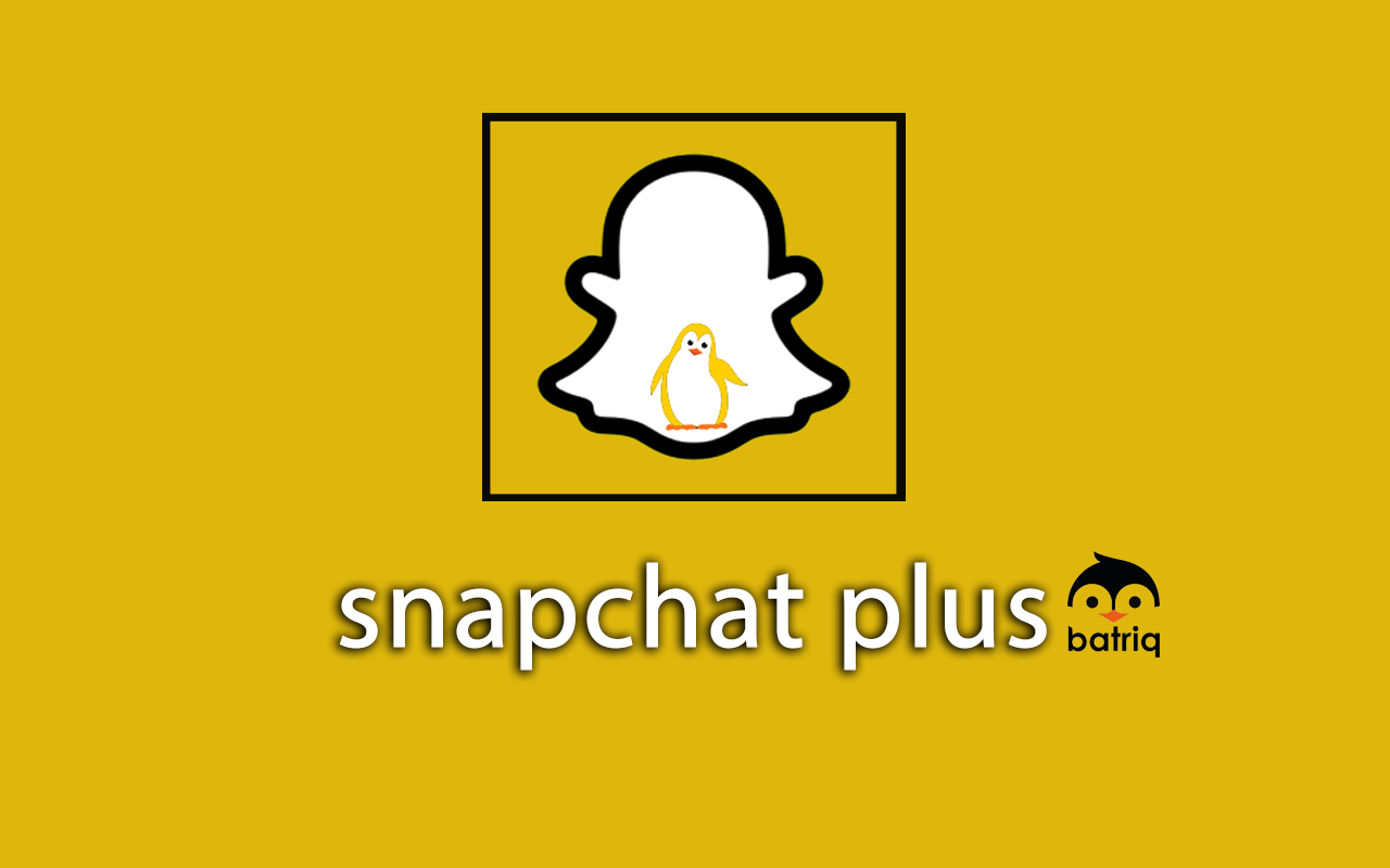 صور من البرنامج #1