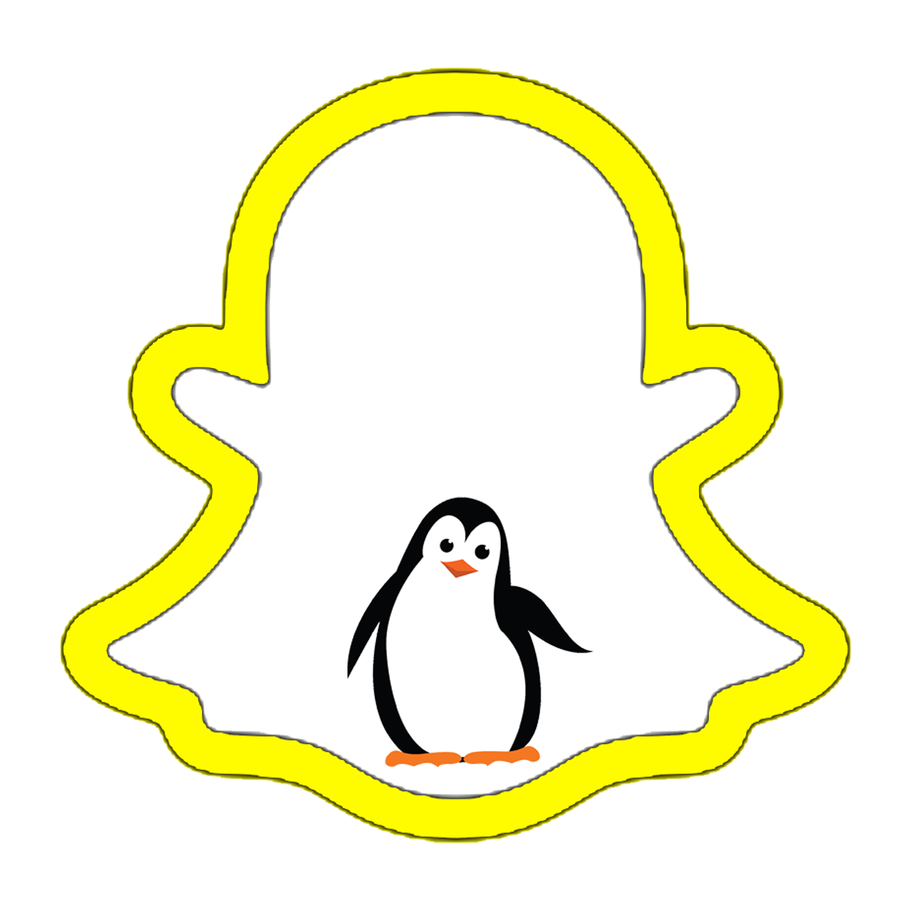 صور من البرنامج #3