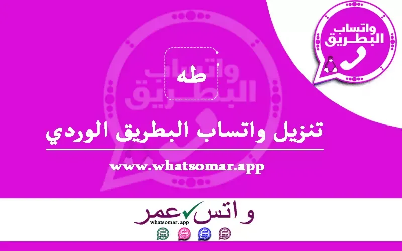 صور من البرنامج #1