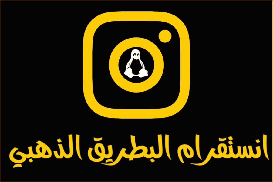 bt insta